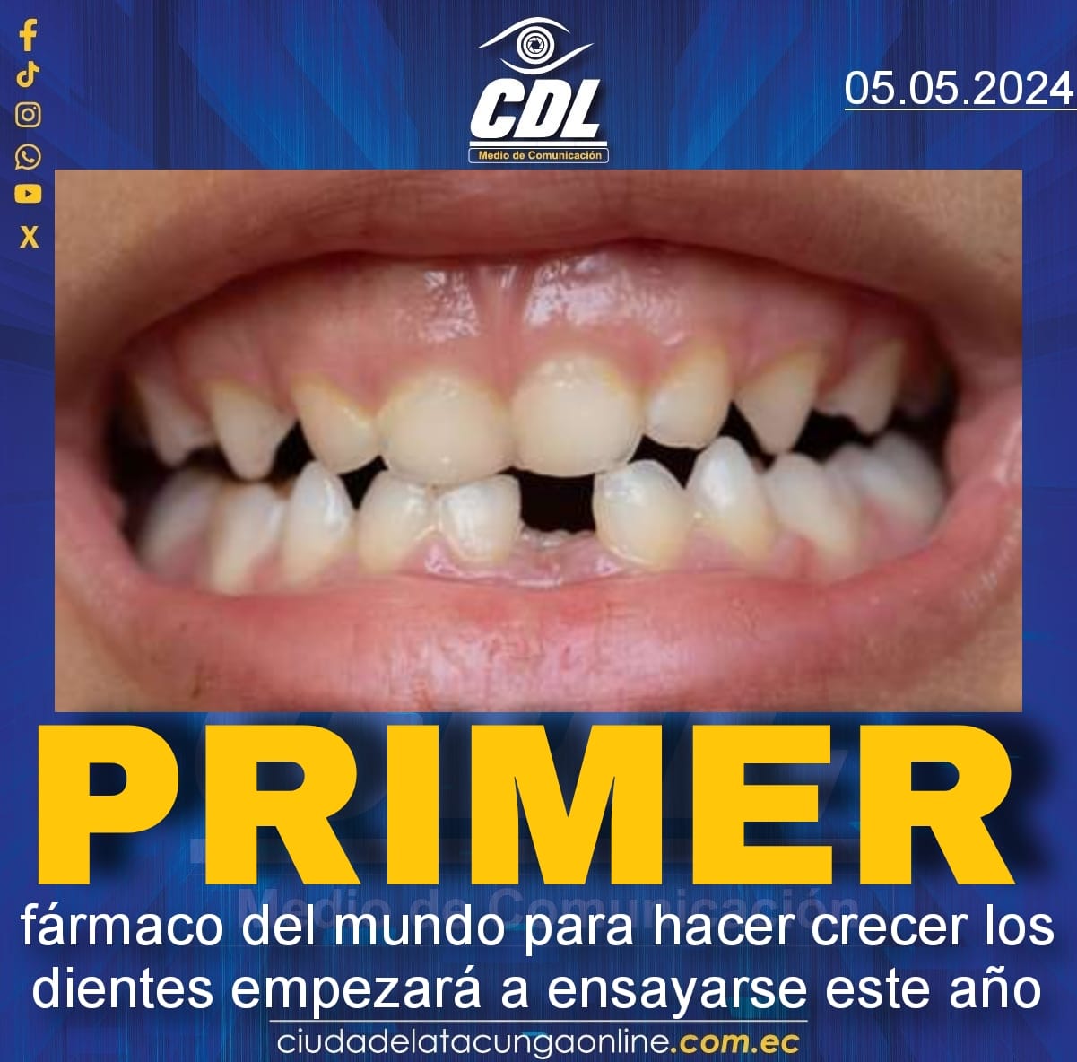 El primer fármaco del mundo para hacer crecer los dientes empezará a ensayarse este año