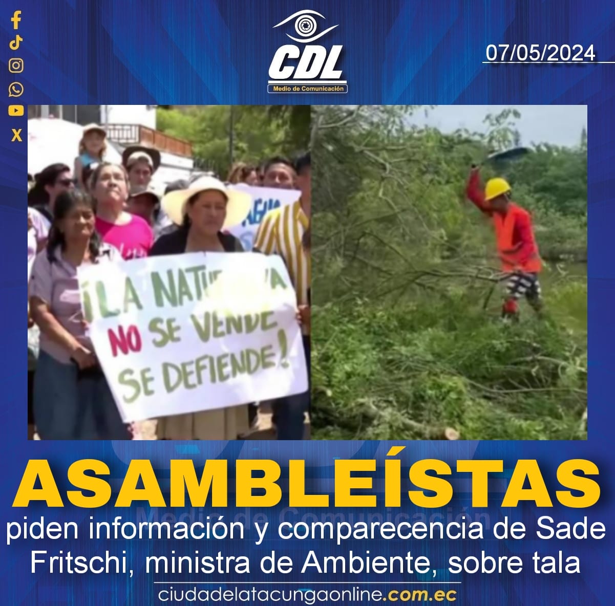 Asambleístas piden información y comparecencia de Sade Fritschi, ministra de Ambiente, sobre tala