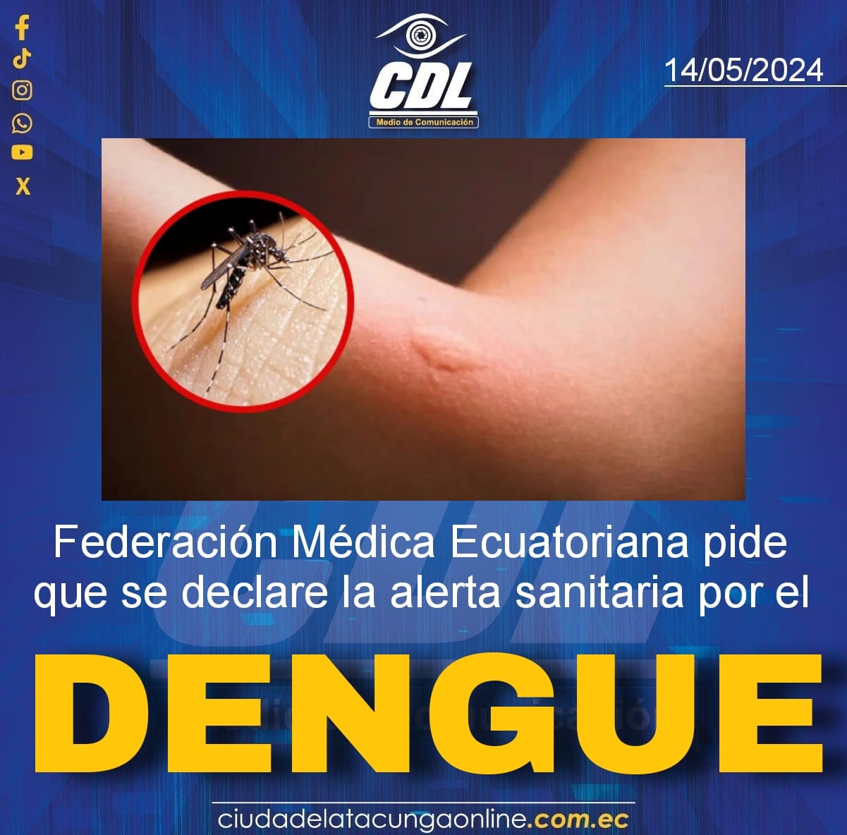 Federación Médica Ecuatoriana pide que se declare la alerta sanitaria por el dengue