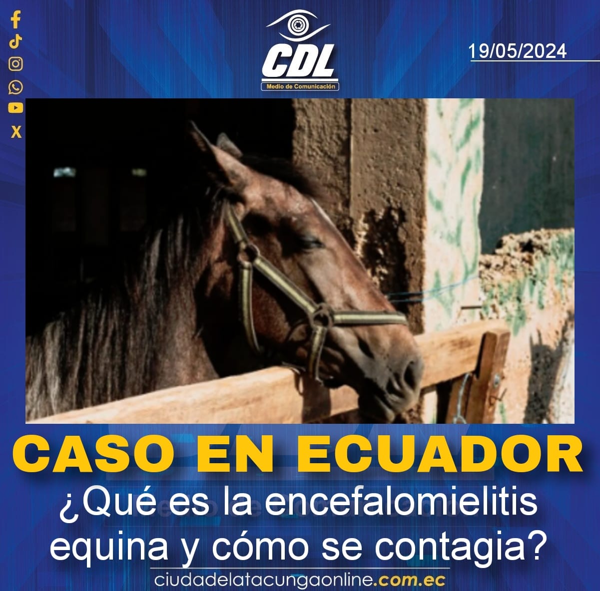 Caso en Ecuador: ¿Qué es la encefalomielitis equina y cómo se contagia?
