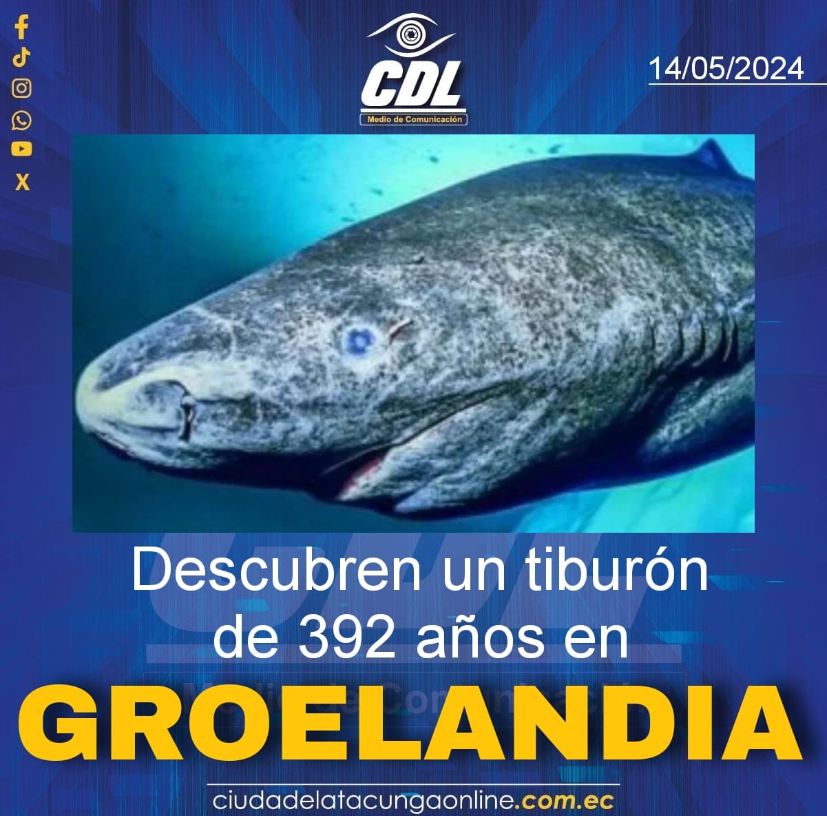 Descubren un tiburón de 392 años en Groenlandia