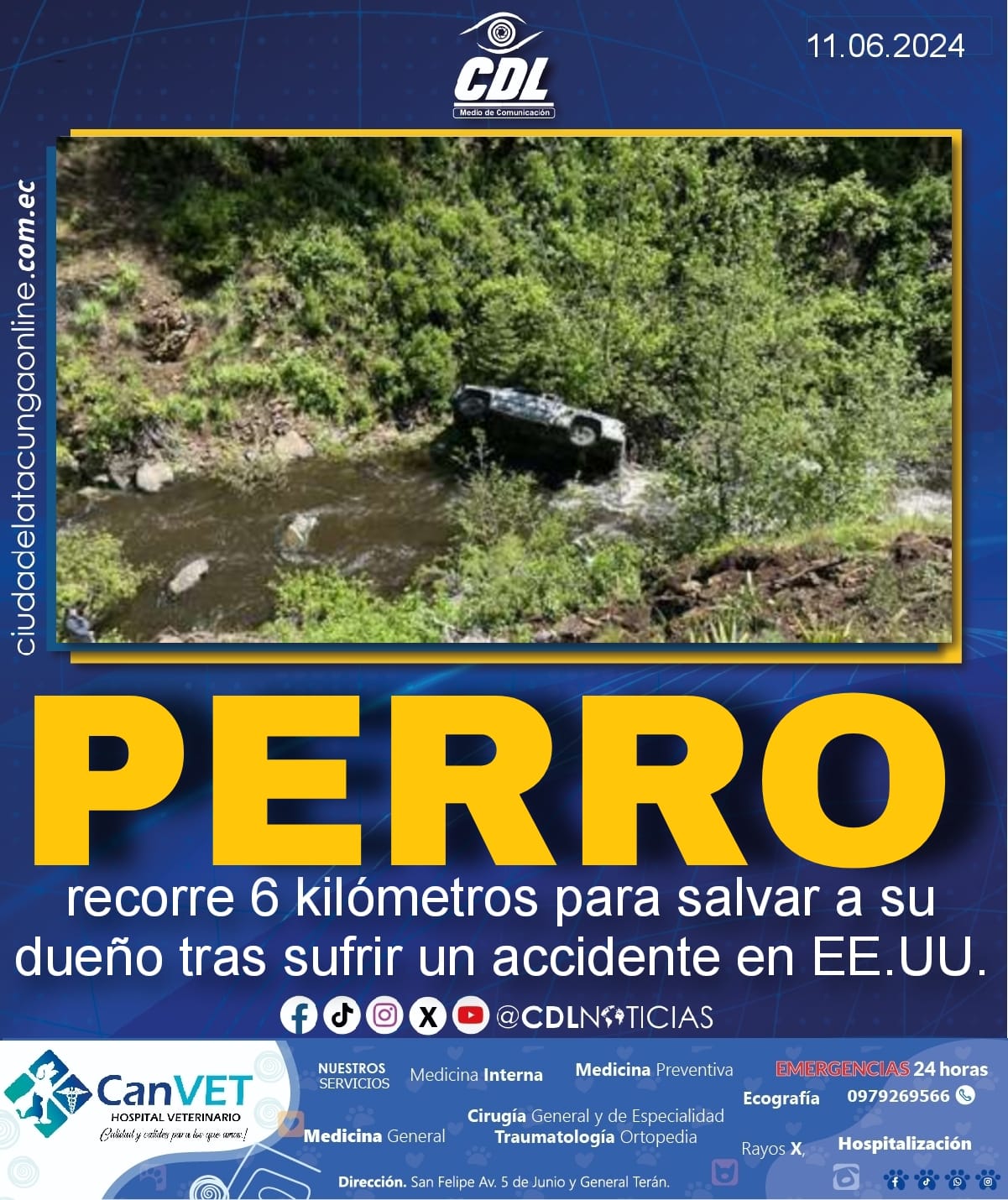 Un perro recorre 6 kilómetros para salvar a su dueño tras sufrir un accidente en EE.UU.