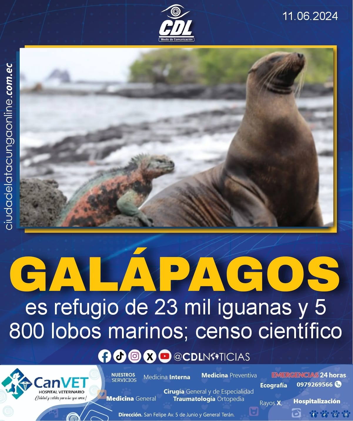 Galápagos es refugio de 23 mil iguanas y 5 800 lobos marinos; censo científico
