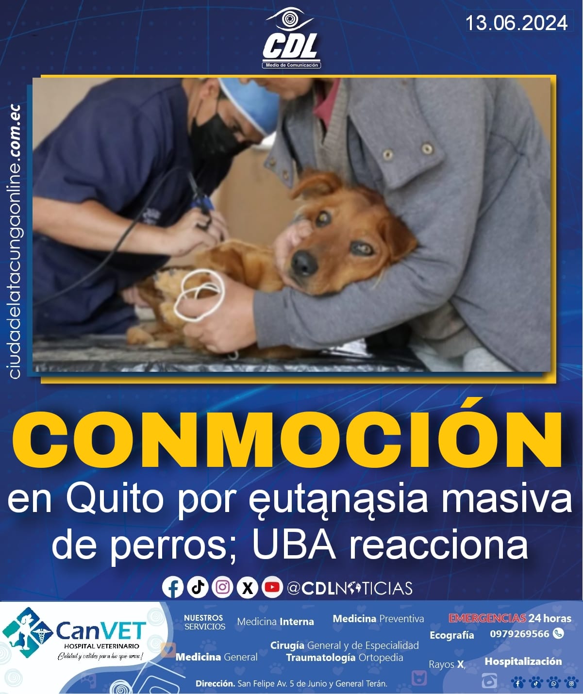 Conmoción en Quito por ęutanąsia masiva de perros; UBA reacciona