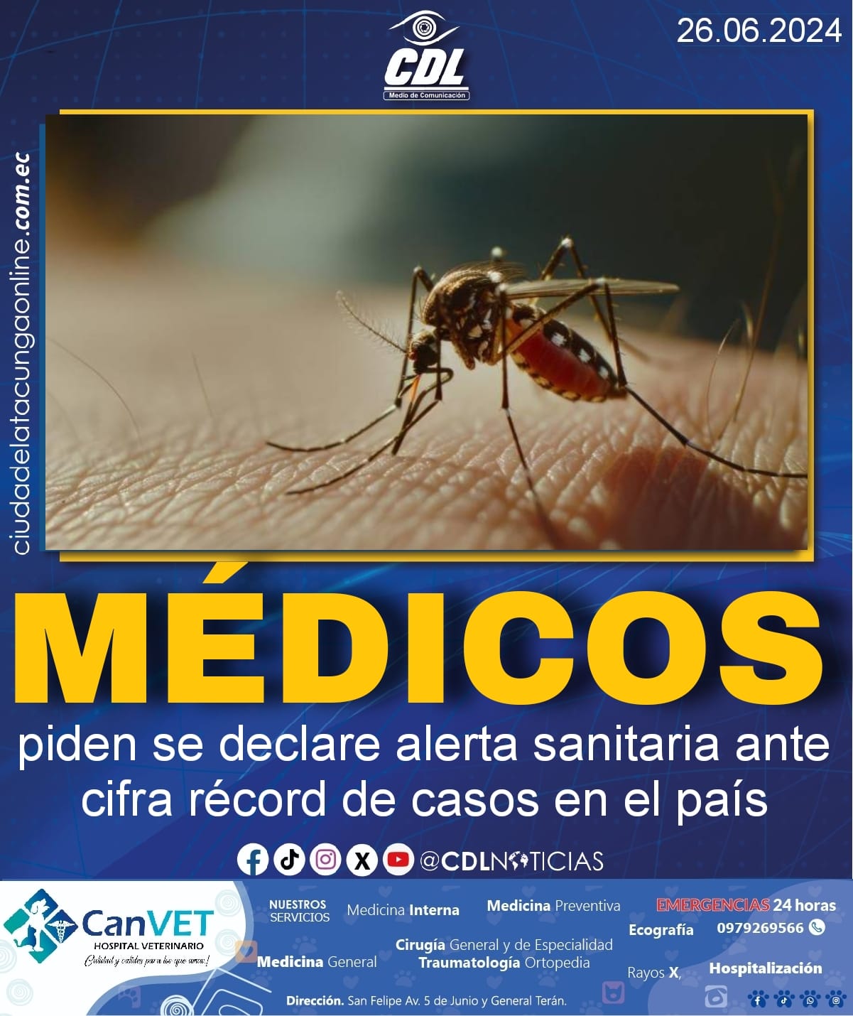 Dengue Ecuador | Médicos piden se declare alerta sanitaria ante cifra récord de casos en el país