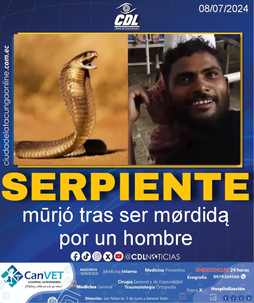 Serpiente murió tras ser mordida por un hombre