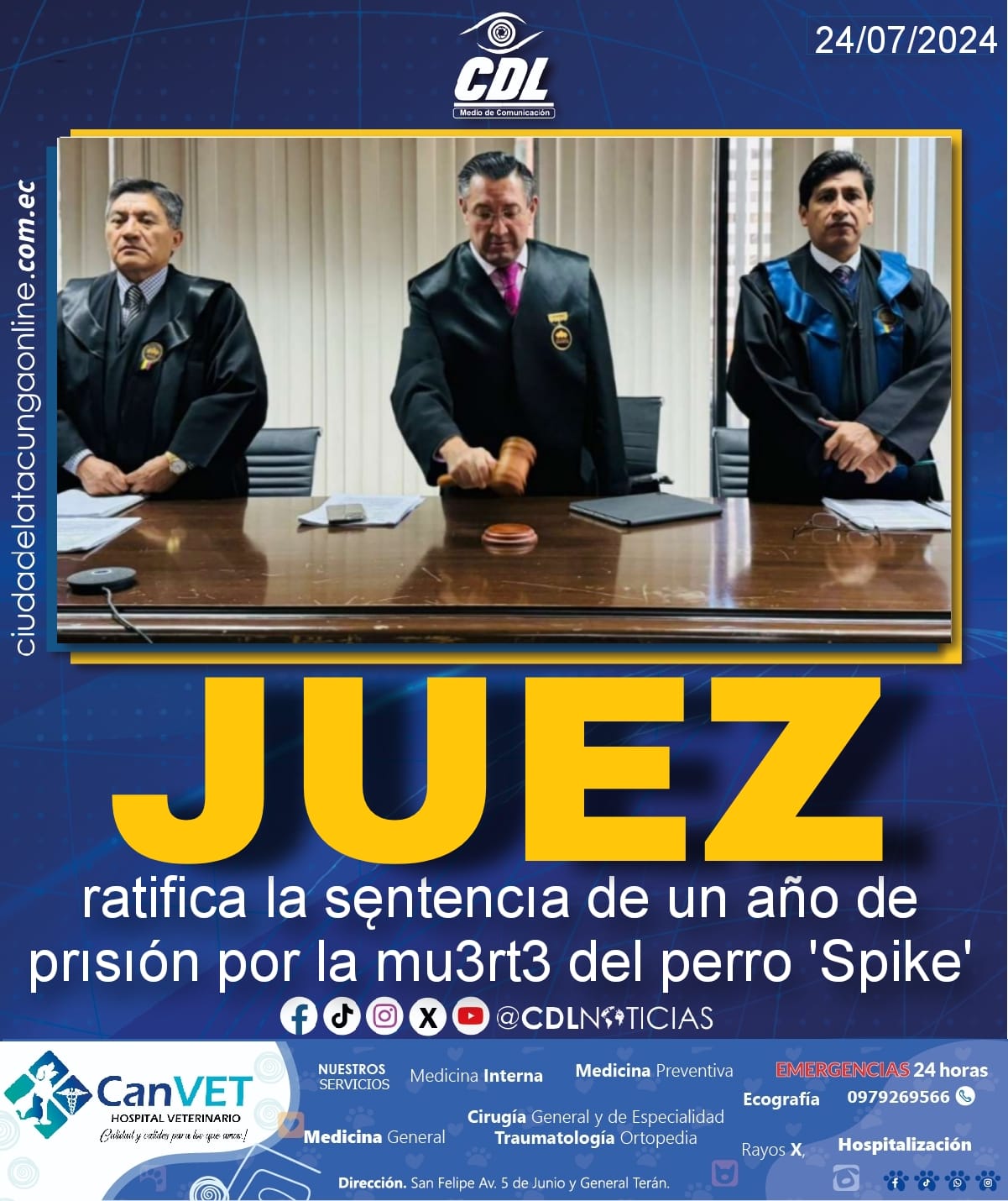 Juez ratifica la sentencia de un año de prisión por la mu3rt3 de perro ‘Spike’