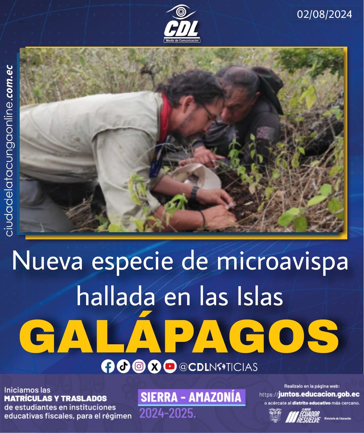 Nueva especie de microavispa hallada en las Islas Galápagos