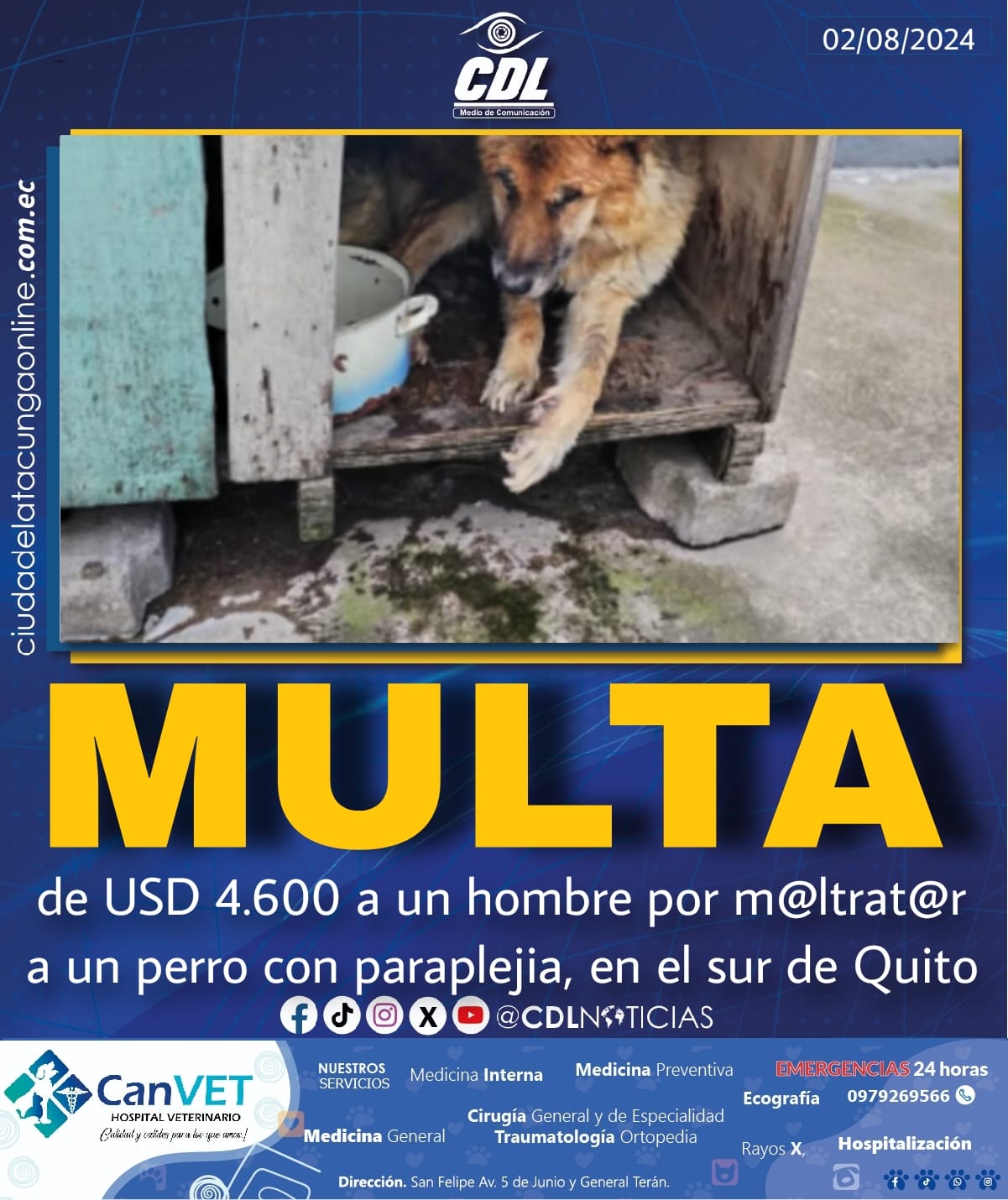 Multa de USD 4.600 a un hombre por m@ltrat@r a un perro con paraplejia, en el sur de Quito