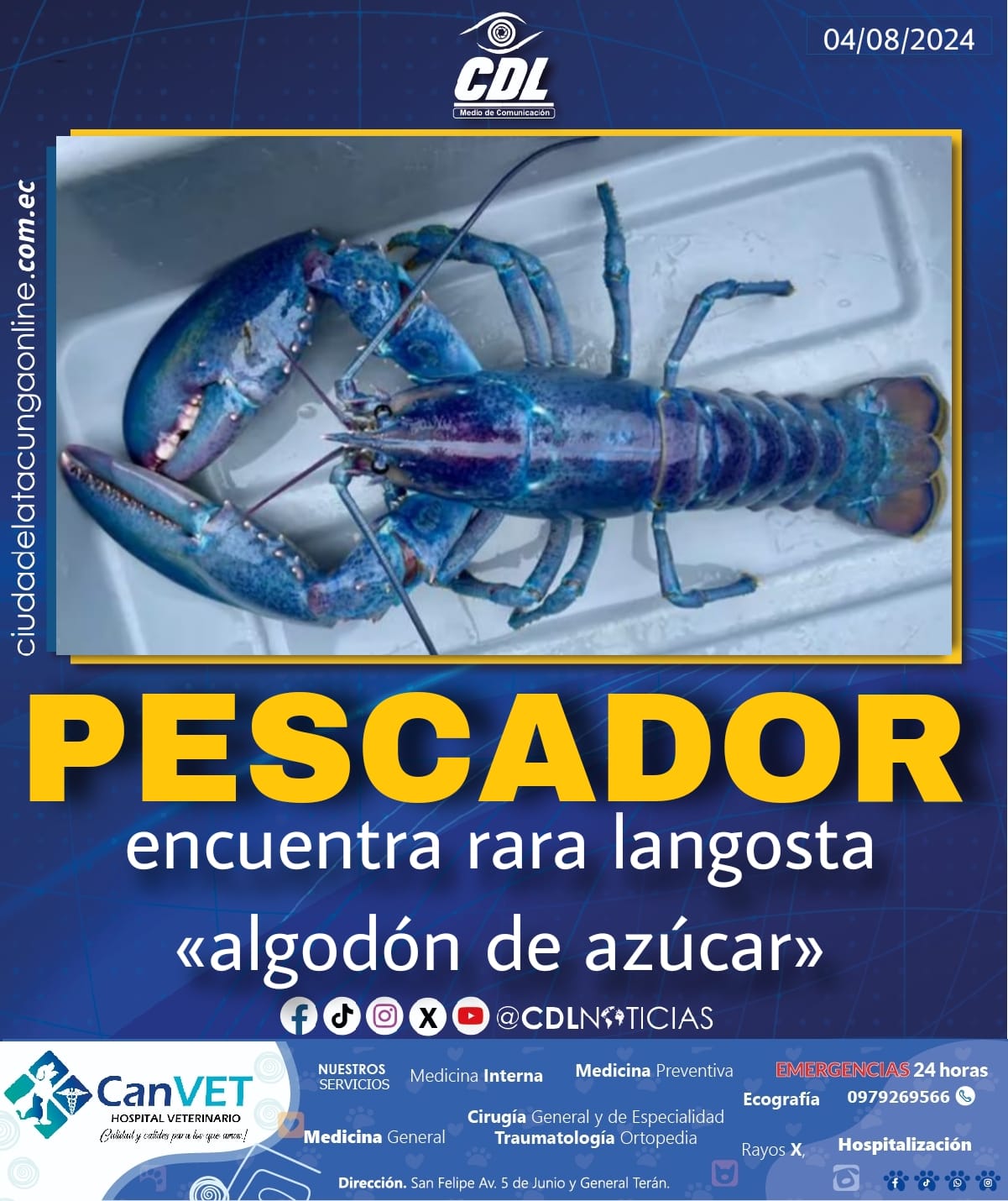 Pescador encuentra rara langosta «algodón de azúcar