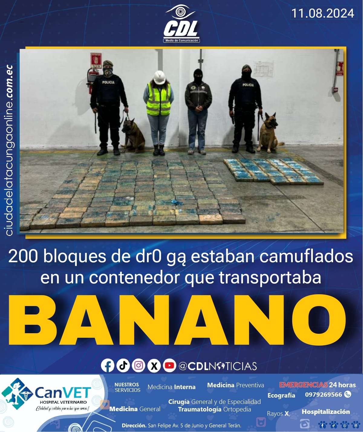 200 bloques de dr0 gą estaban camuflados en un contenedor que transportaba banano y tenía como destino a Bélgica
