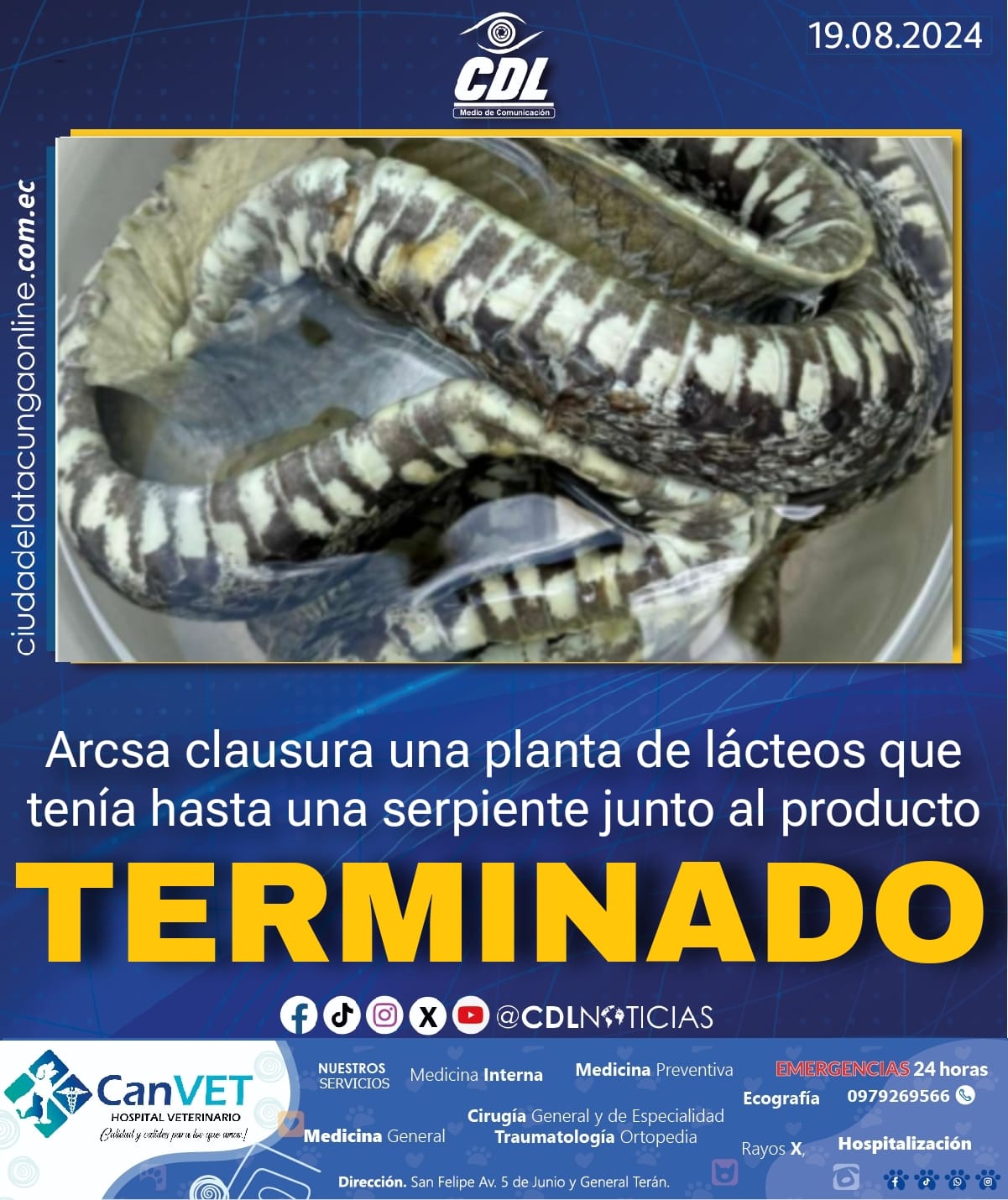 Arcsa clausura una planta de lácteos que tenía hasta una serpiente junto al producto terminado