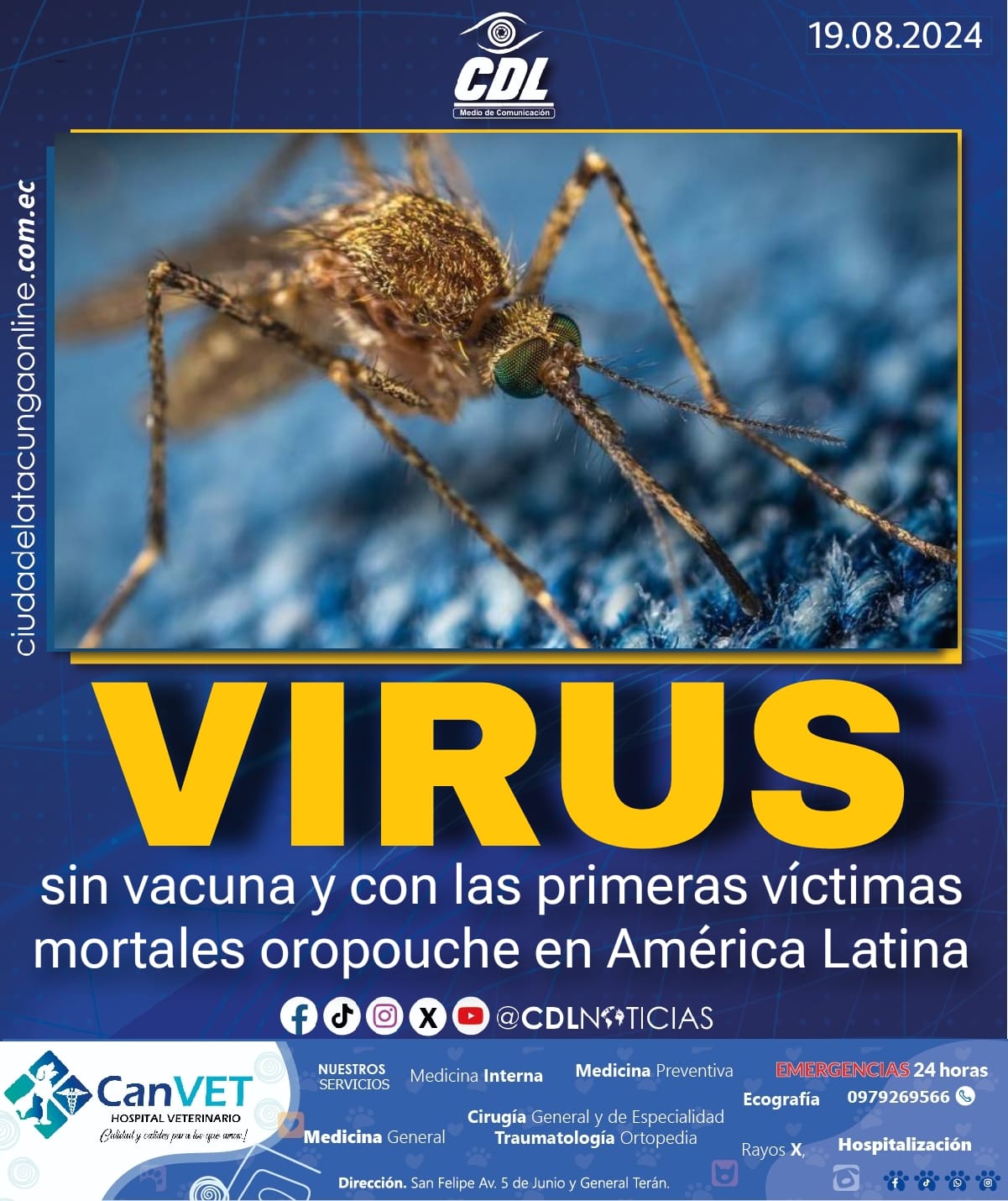 Un virus sin vacuna y con las primeras víctimas mortales oropouche en América Latina
