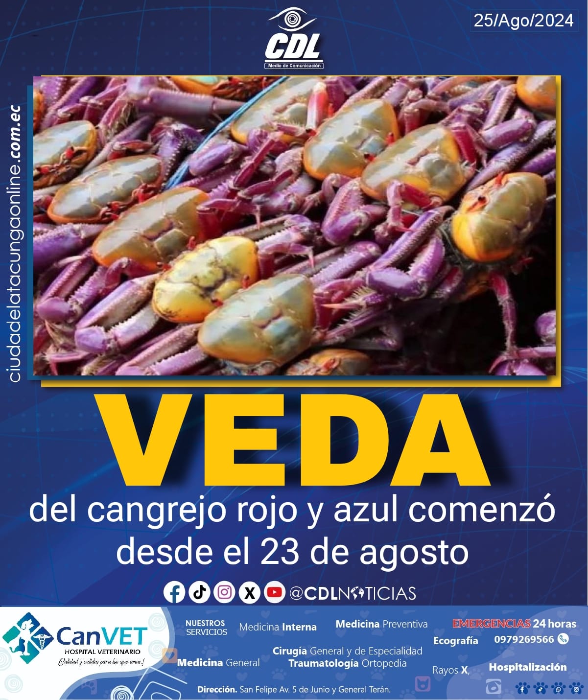 La veda del cangrejo rojo y azul comenzó desde el 23 de agosto
