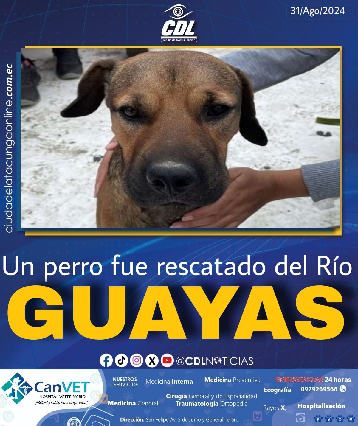 Un perro fue rescatado del Río Guayas