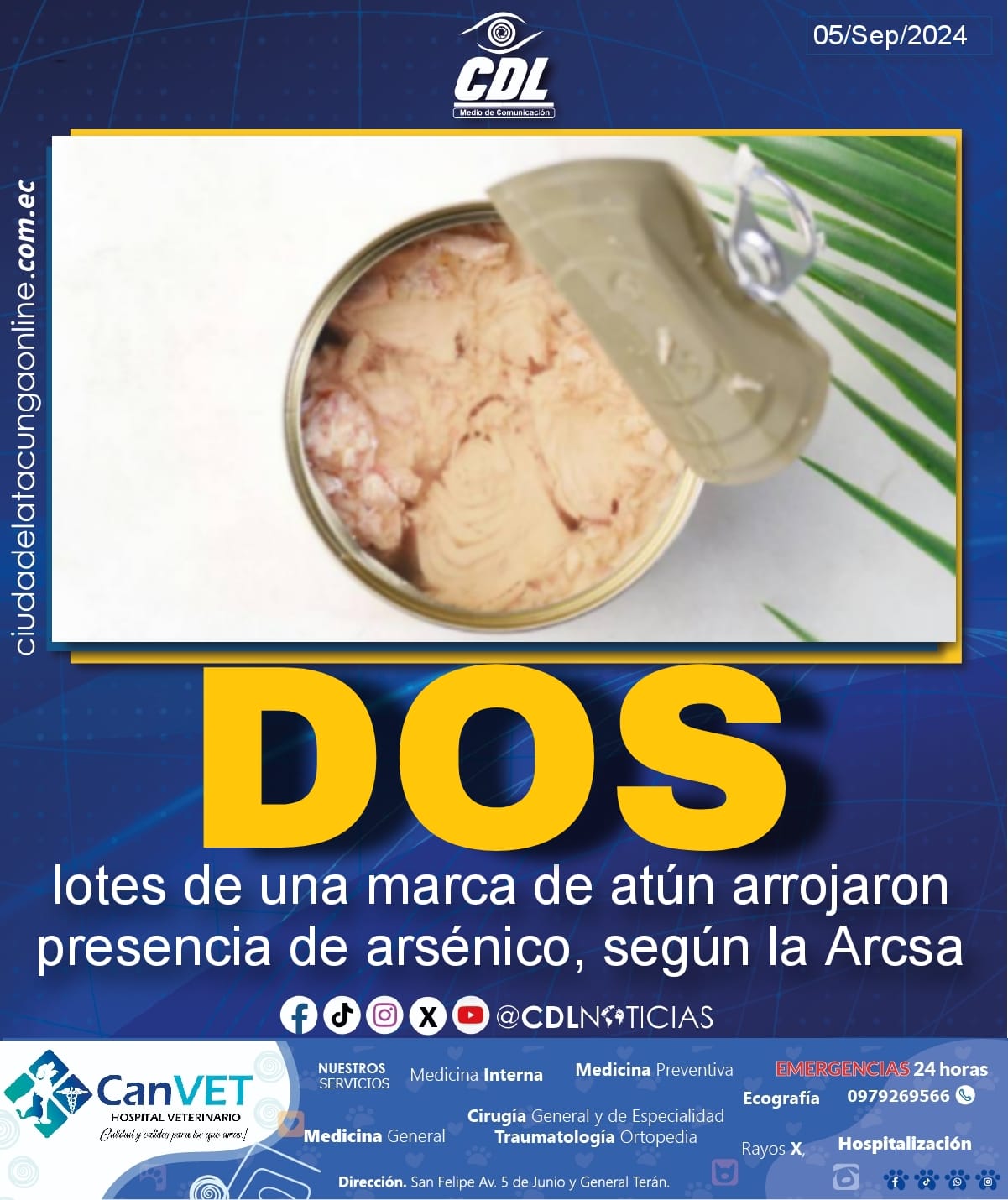 Dos lotes de una marca de atún arrojaron presencia de arsénico, según la Arcsa
