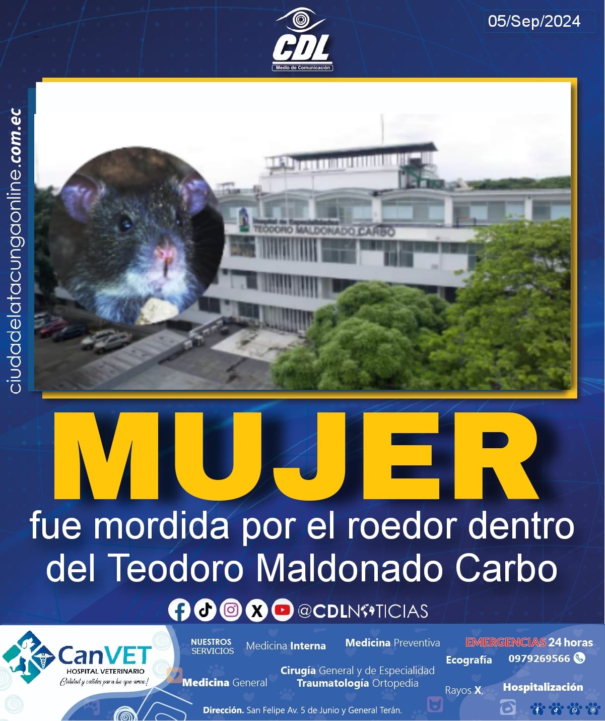 Mujer fue mordida por el roedor dentro del Teodoro Maldonado Carbo