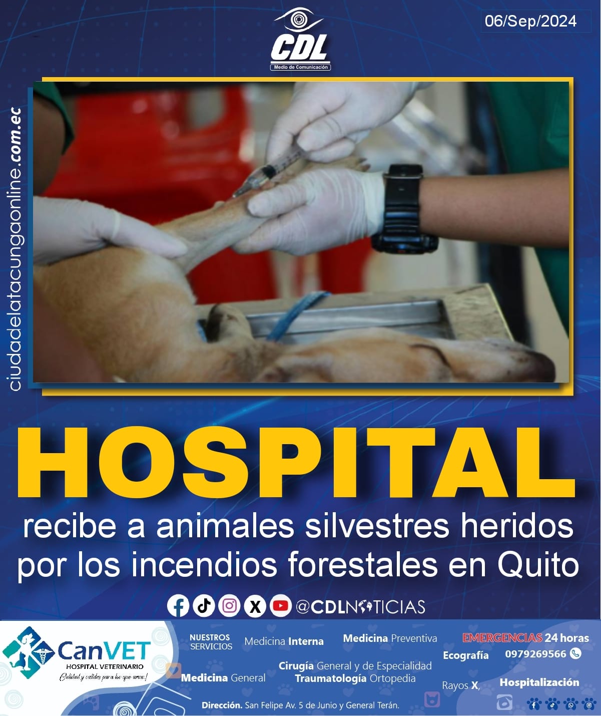 Un Hospital recibe a animales silvestres heridos por los incendios forestales en Quito