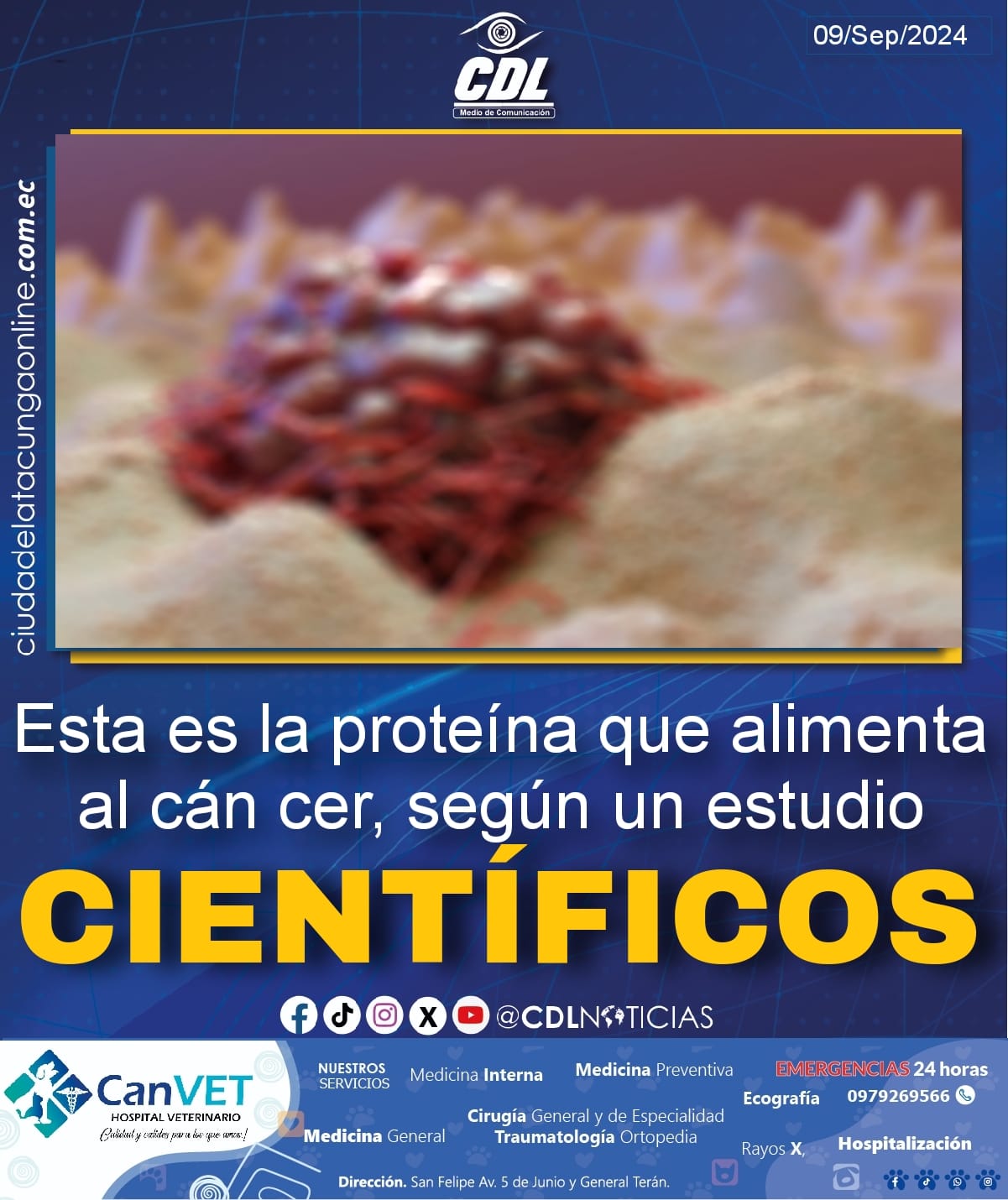 Esta es la proteína que alim enta al cán cer, según un estudio científico