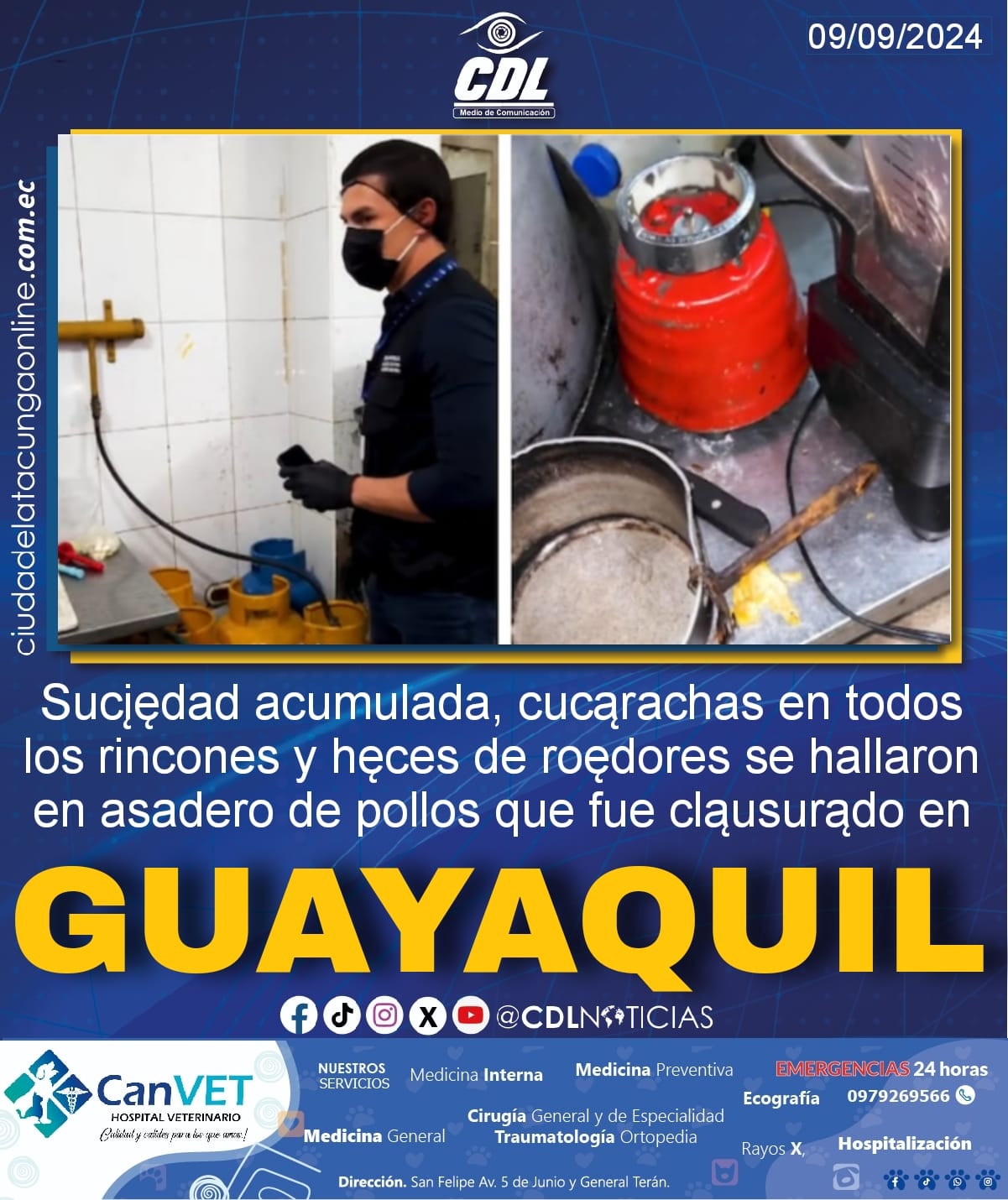 Sucįedad acumulada, cucarachas en todos los rincones y hęces de roedores se hallaron en asadero de pollos que fue cląusurądo en Guayaquil