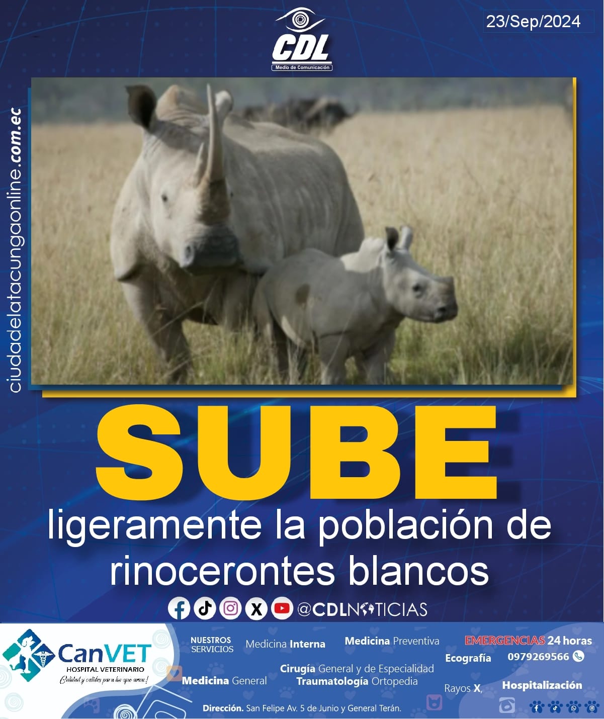 Sube ligeramente la población de rinocerontes blancos