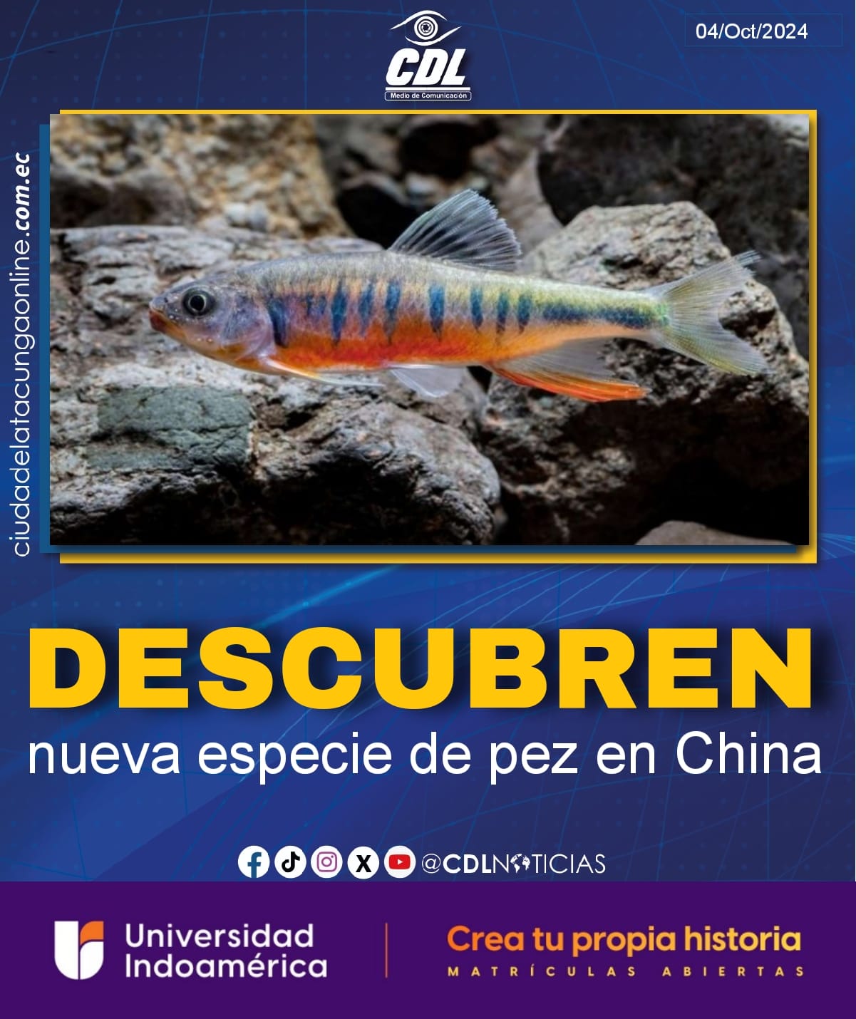 Descubren nueva especie de pez en China