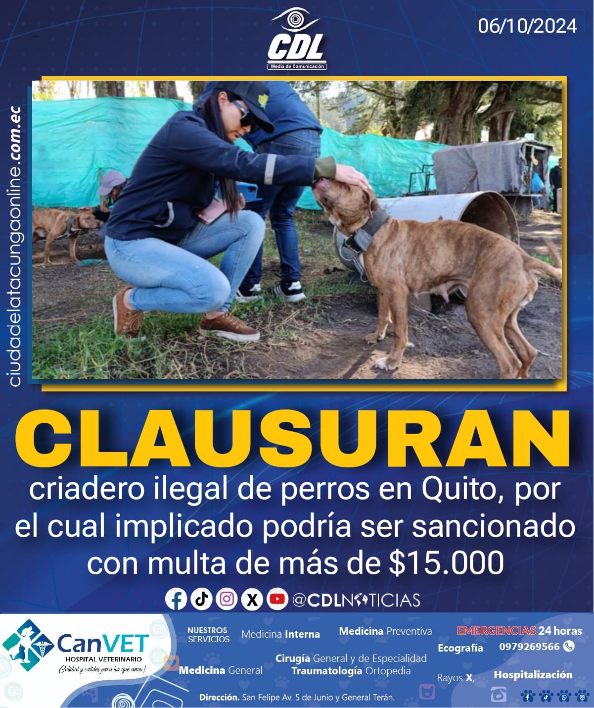 Clausuran criadero ilegal de perros en Quito, por el cual implicado podría ser sancionado con multa de más de $15.000