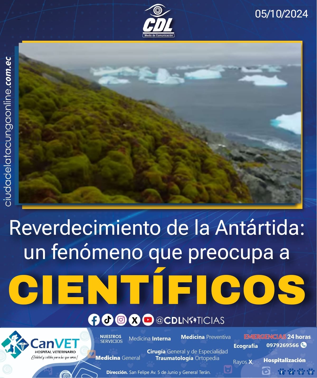 Reverdecimiento de la Antártida: un fenómeno que preocupa a científicos