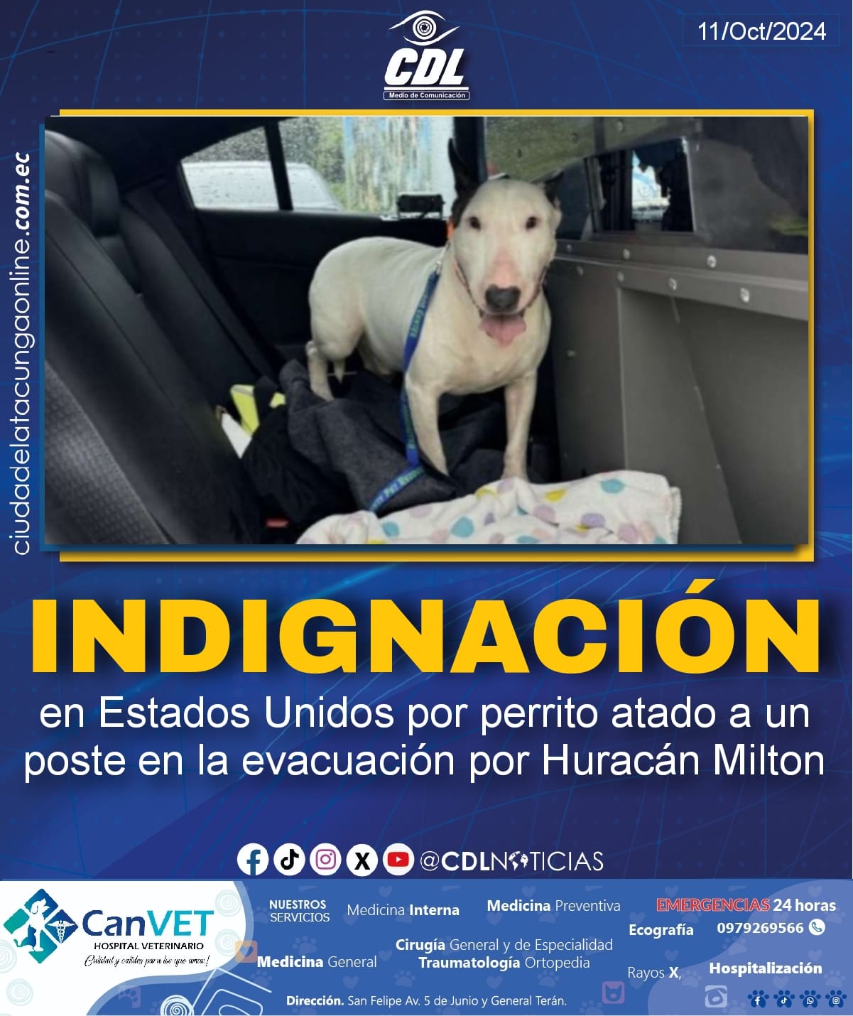 Indignación en Estados Unidos por perrito atado a un poste en la evacuación por Huracán Milton