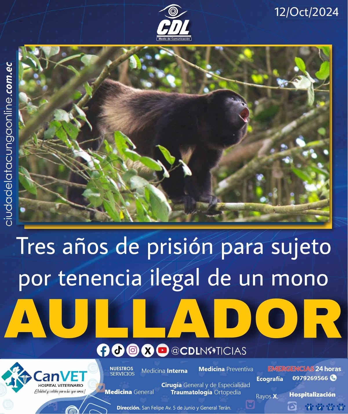 Tres años de prisión para sujeto por tenencia ilegal de un mono aullador