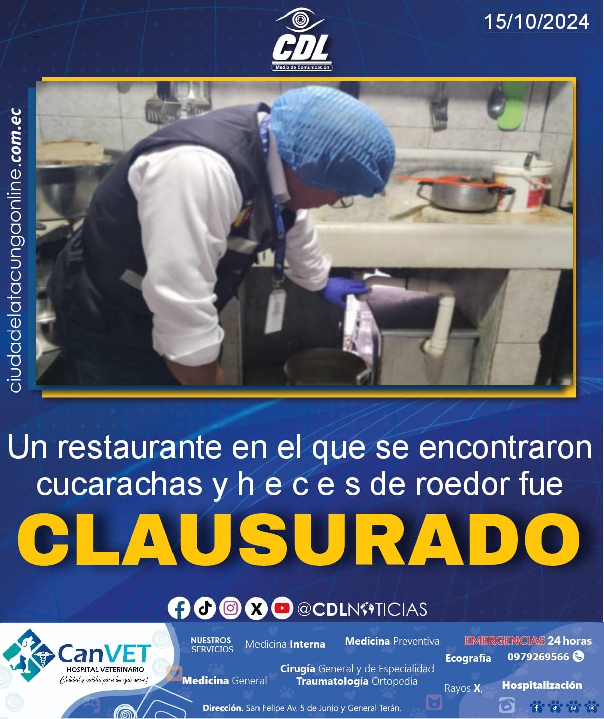 Un restaurante en el que se encontraron cucarachas y heces de roedor fue clausurado