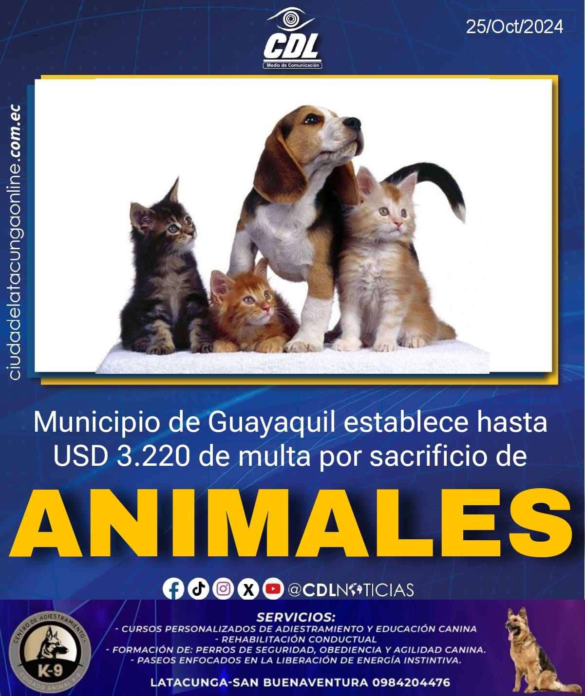 Municipio de Guayaquil establece hasta USD 3.220 de multa por sacrificio de animales
