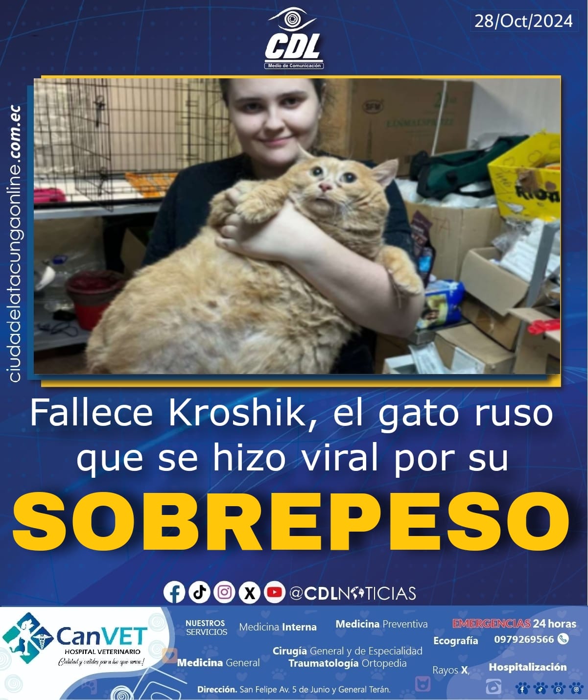 Fallece Kroshik, el gato ruso que se hizo viral por su sobrepeso
