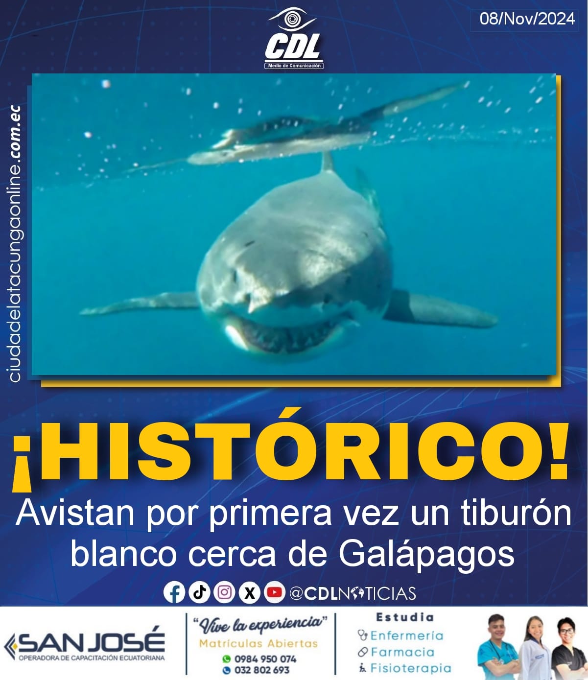 ¡Histórico! Avistan por primera vez un tiburón blanco cerca de Galápagos