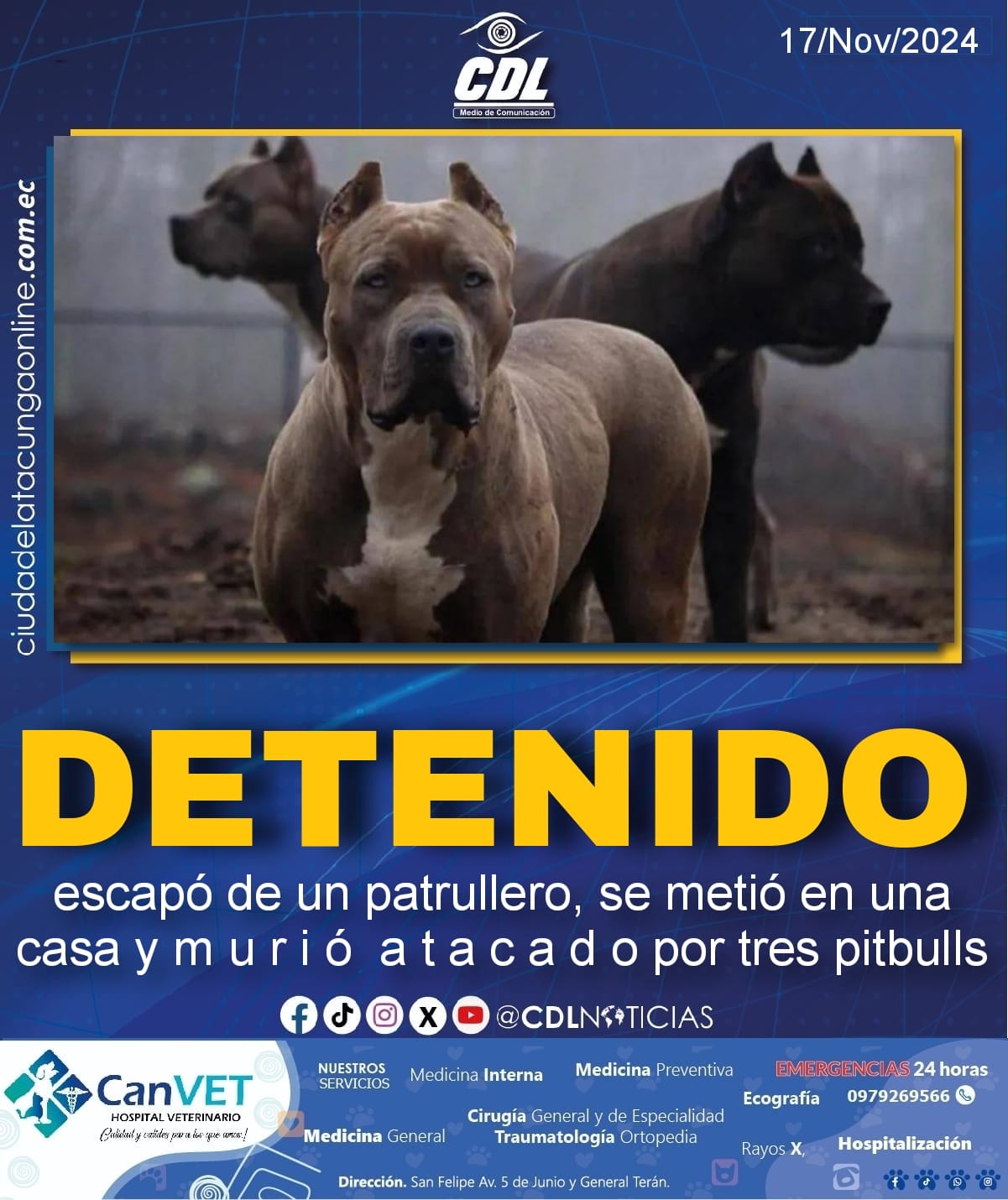 Un detenido escapó de un patrullero, se metió en una casa y m u r i ó a t a c a d o por tres pitbulls