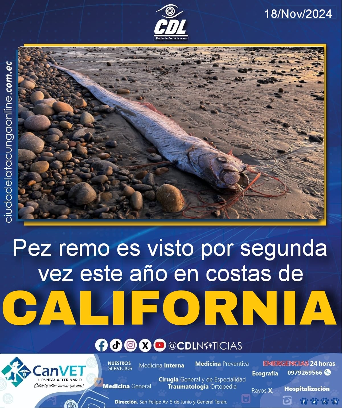 Pez remo es visto por segunda vez este año en costas de California