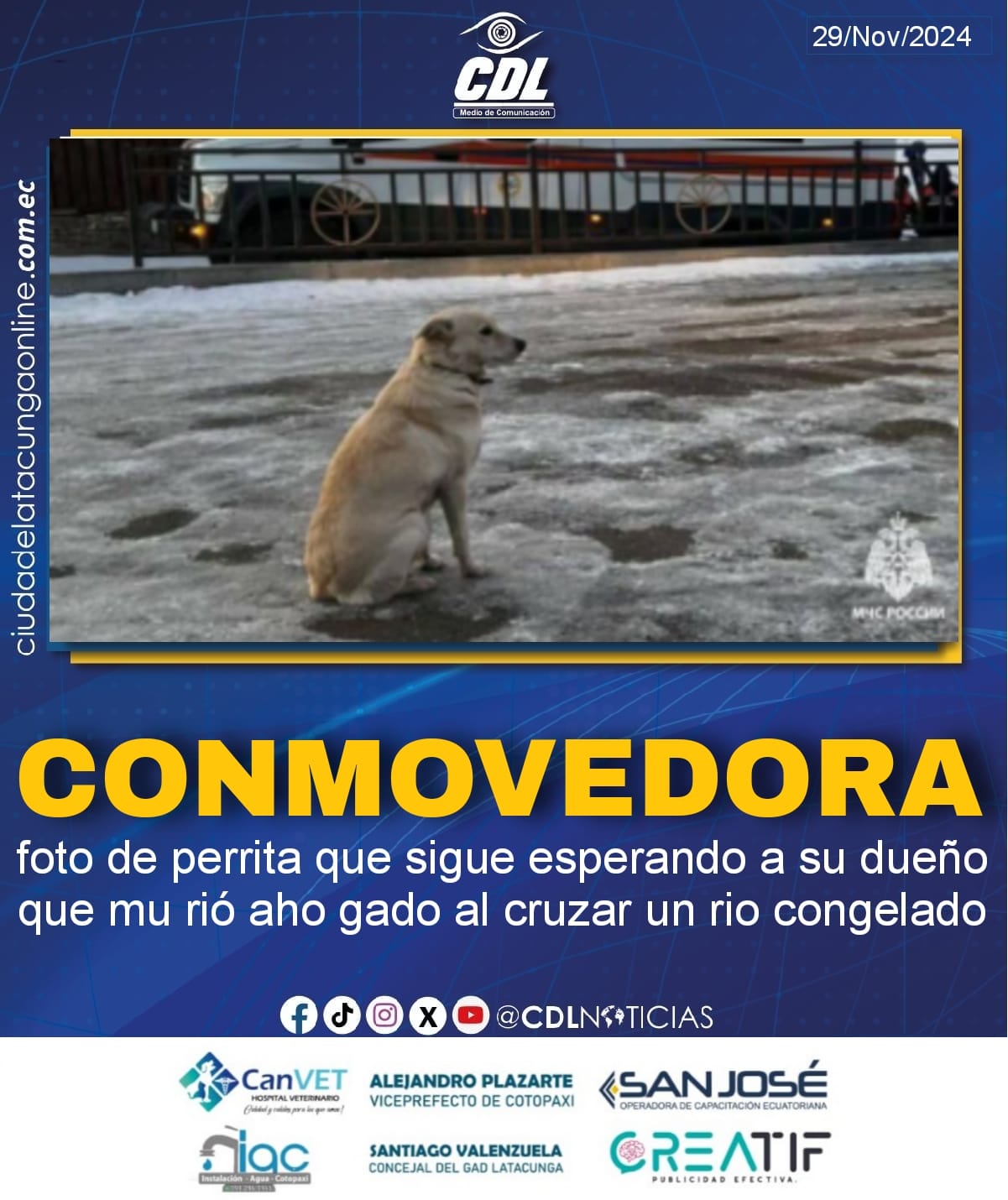 La conmovedora foto de perrita que sigue esperando a su dueño que mu rió aho gado al cruzar un rio congelado