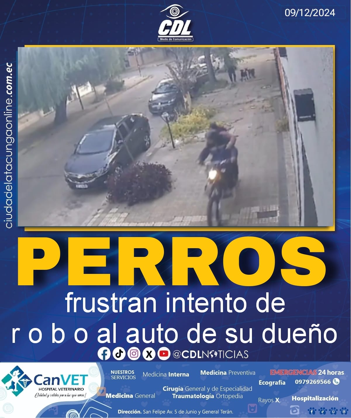 Perros frustran intento de robo al auto de su dueño