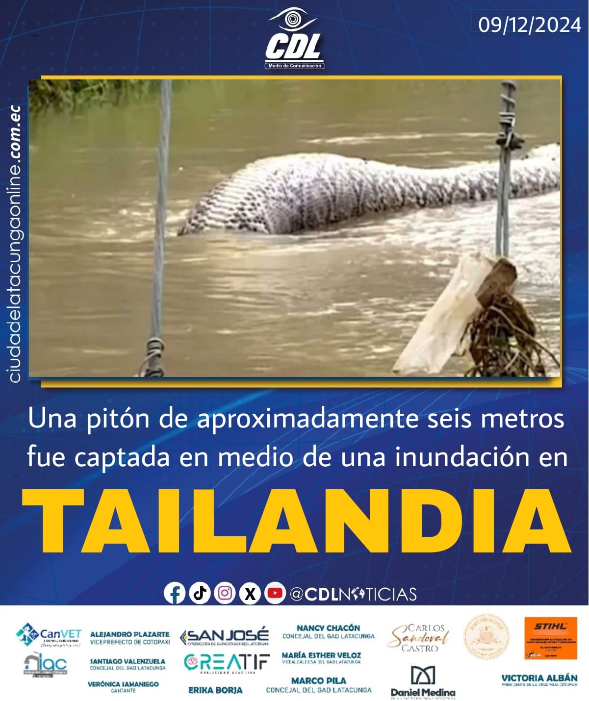 Una pitón de aproximadamente seis metros fue captada en medio de una inundación en Tailandia.