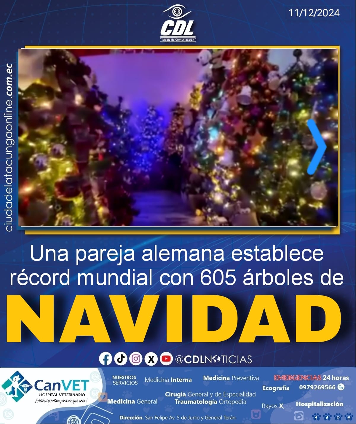 Una pareja alemana establece récord mundial con 605 árboles de Navidad en su hogar