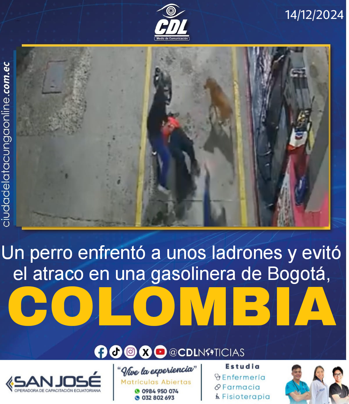 Un perro enfrentó a unos ladrones y evitó el atraco en una gasolinera de Bogotá, Colombia