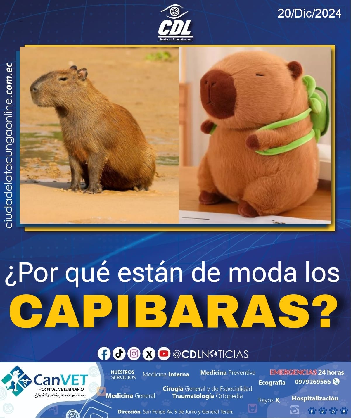 ¿Por qué están de moda los Capibaras?