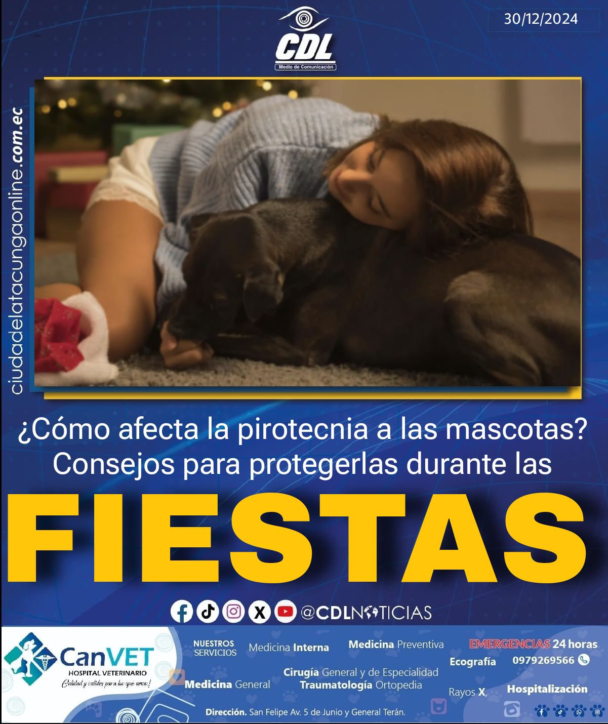 ¿Cómo afecta la pirotecnia a las mascotas? Consejos para protegerlas durante las fiestas