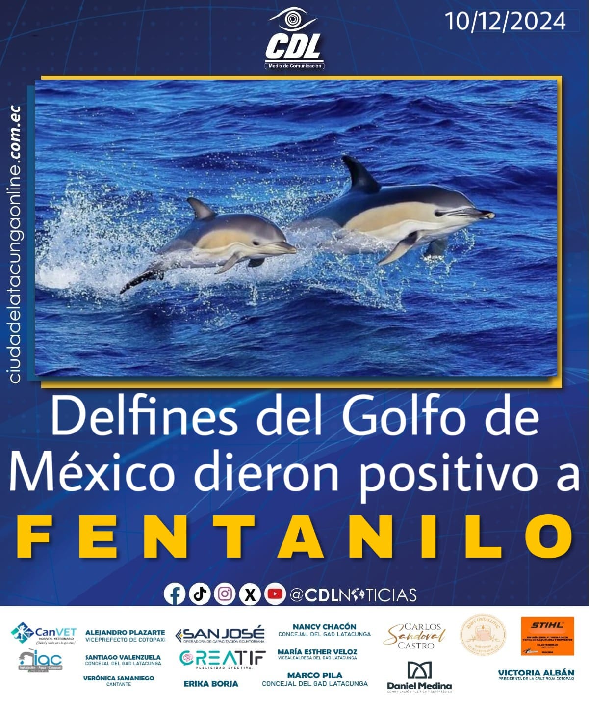 Delfines del golfo de México dieron positivo a f e n t a n i l o y a otras sustancias