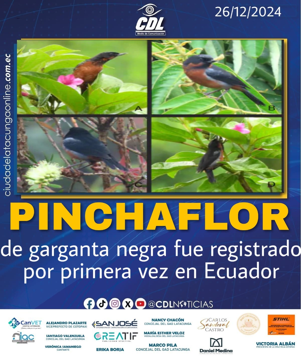 Pinchaflor de garganta negra fue registrado por primera vez en Ecuador