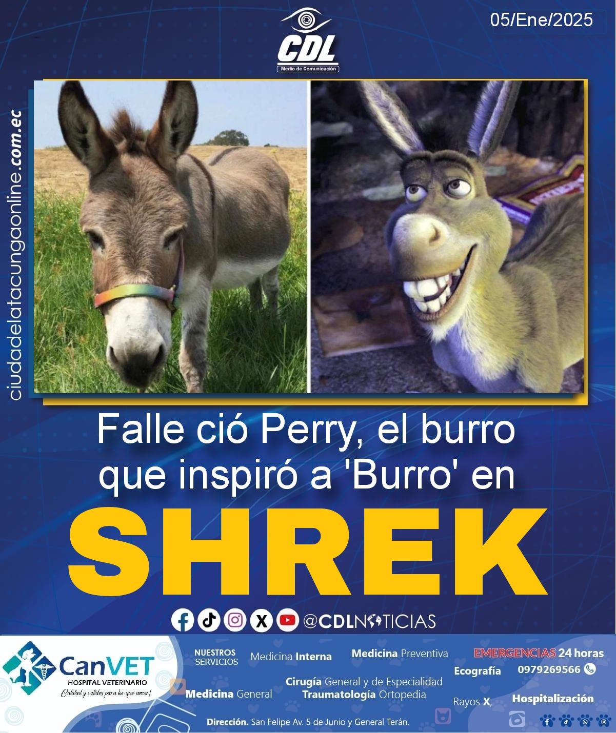 Falleció Perry, el burro que inspiró a ‘Burro’ en Shrek