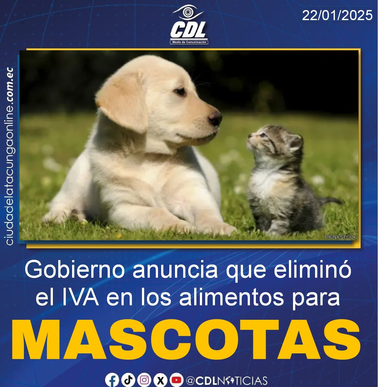 Gobierno anuncia que eliminó el IVA en los alimentos para mascotas
