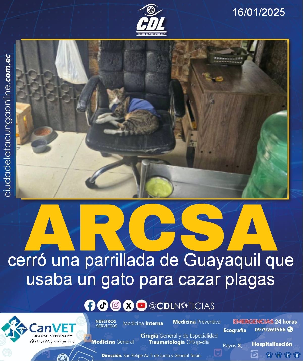 La Arcsa cerró una parrillada de Guayaquil que usaba un gato para cazar plagas