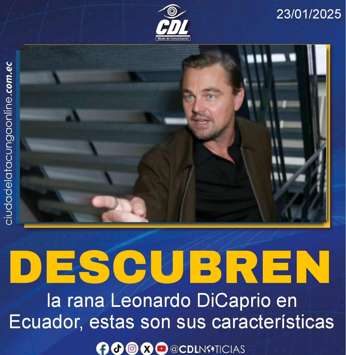 Descubren la rana Leonardo DiCaprio en Ecuador, estas son sus características