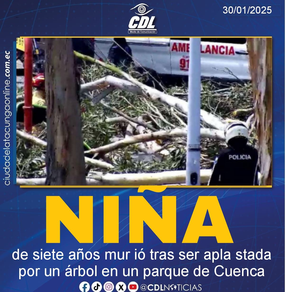 Una niña de siete años mur ió tras ser apla stada por un árbol en un parque de Cuenca